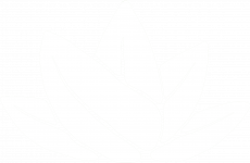 Logo - White